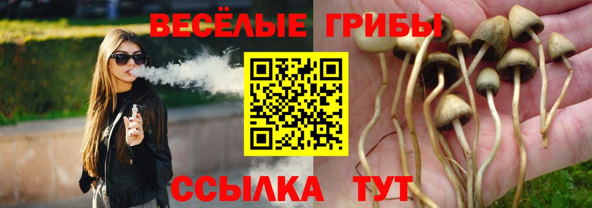 Псилоцибиновые грибы мицелий  Вход с VPN  Чита  Галлюциногенные грибы мухоморы 