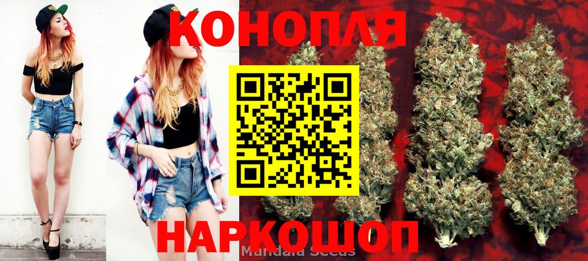 Конопля семена  Бошки марихуана семена  Вход с VPN  Бошки марихуана индика  Чита 